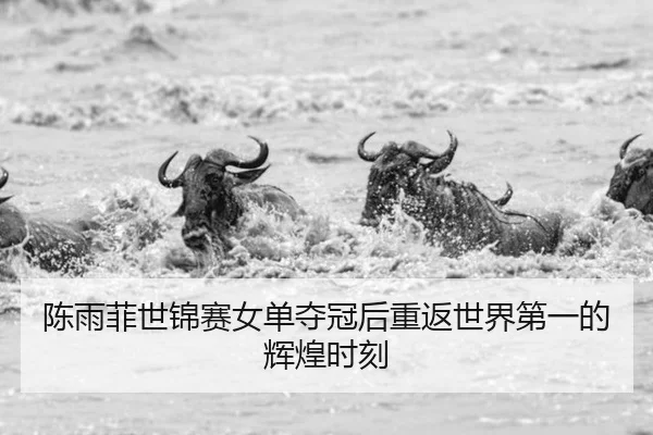 chen-yu-fei-shi-jin-sai-nv-dan-duo-guan-hou-chong-fan-shi-jie-di-yi-de-hui-huang-shi-ke-2-263.jpg